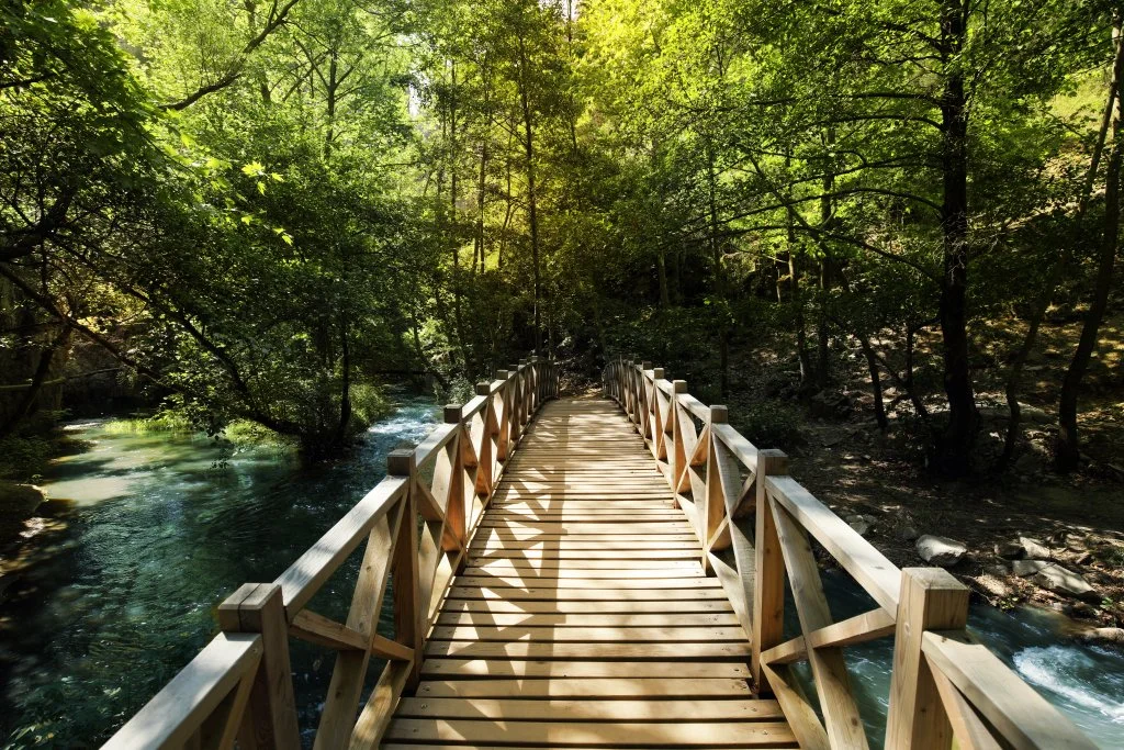 Türkiye'de Tam Ağız Diş Paketleri: Bursa'da Uygun Fiyatlı Lüks Diş Turizmi